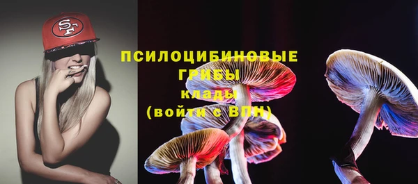 мдпв Белокуриха